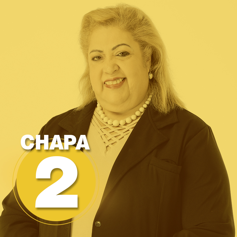 Chapa2_